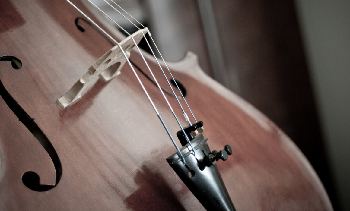 close up on the strings and bridge of a cello